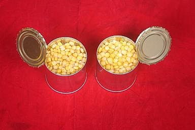 甜玉米粒罐头（884#）