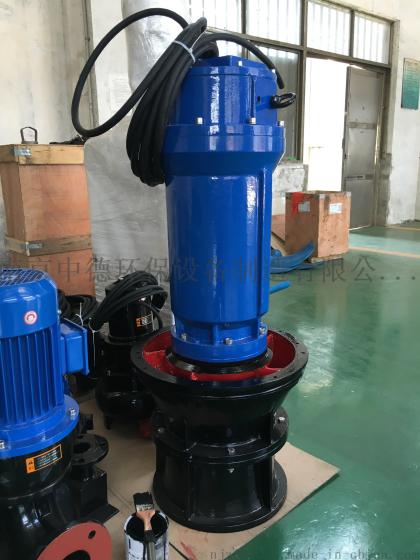 潜水轴流泵专业生产厂家，中德ZQB系列轴流泵