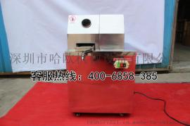 深圳哈欧 工厂直销甘蔗榨汁机 电动榨汁机 不锈钢榨甘蔗汁机 水果榨汁机