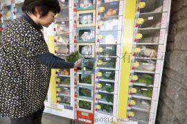 中谷承接OEM/ODM售货机全套定制服务 蔬菜水果自动贩卖机 蔬菜水果售卖机