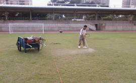 提供深圳学校深圳体育馆足球场的天然草养护服务
