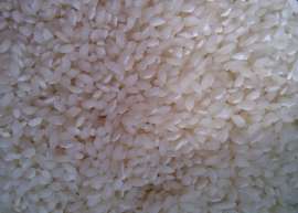 迈元食品批发做米粉用桂朝米